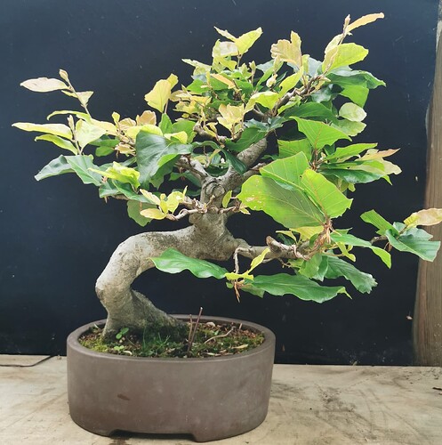 2024-06-04-18-08-02-480