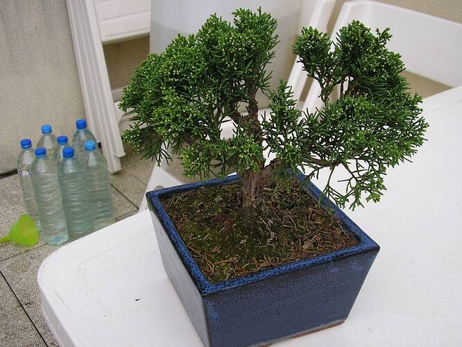 54434095_2811117672248755_4075114199359946752_n