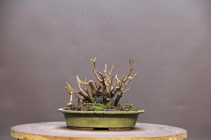 post-52126-0-34089100-1673776319