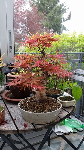 a0b60fc2-7564-45c9-8b4c-283569a6cc81-1_all_51456