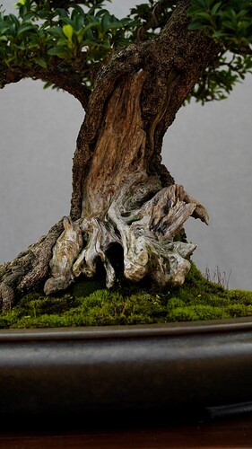 ART00360
