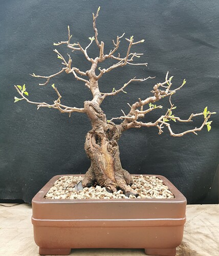 2024-03-12-17-18-58-485