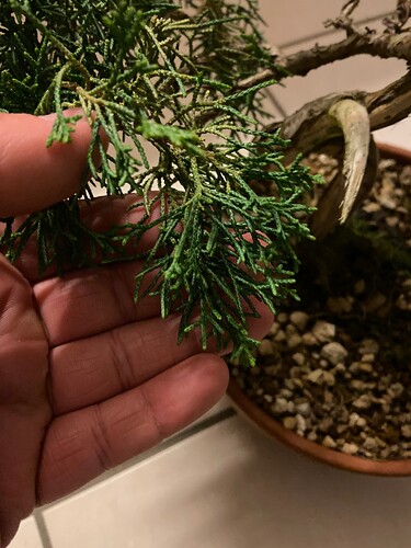 photo_3 (2)
