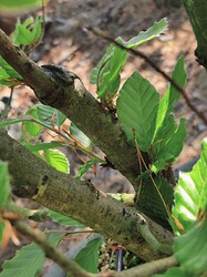 IMG_20240509_113258