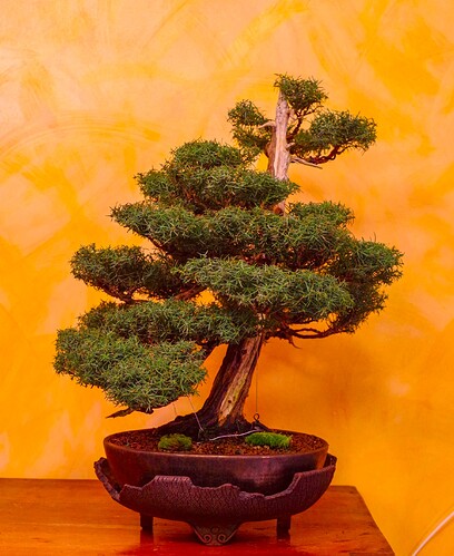IMGP7734-2