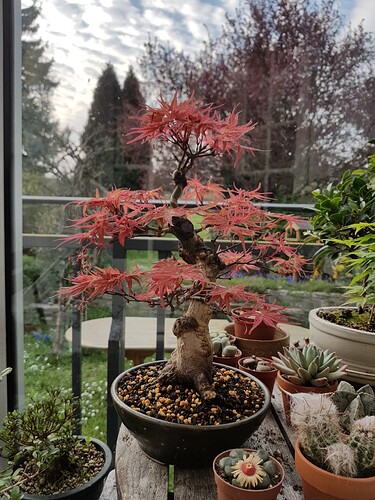 a0b60fc2-7564-45c9-8b4c-283569a6cc81-1_all_49165