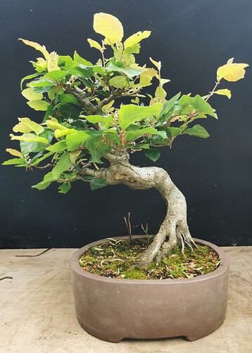 2024-06-04-18-06-44-688