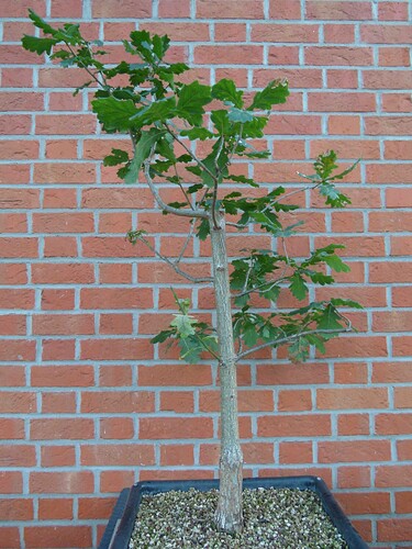 P1160058