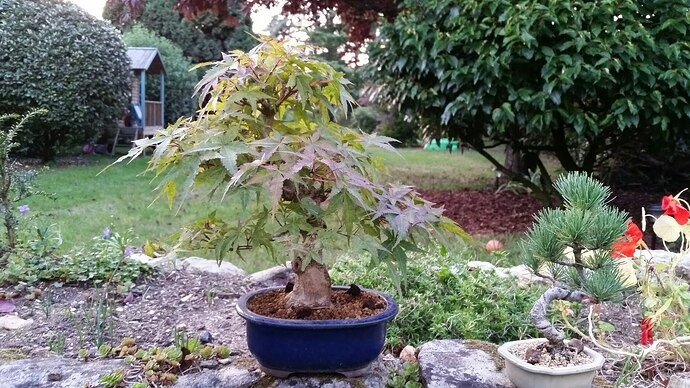 a0b60fc2-7564-45c9-8b4c-283569a6cc81-1_all_51912