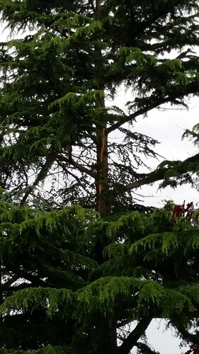 20160528_195519