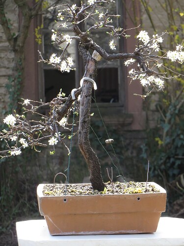 post-41267-0-05266500-1657195386