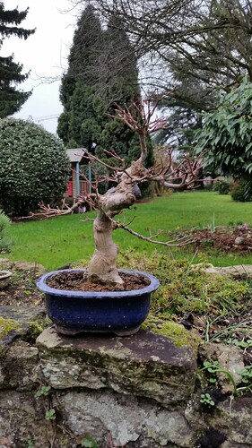 a0b60fc2-7564-45c9-8b4c-283569a6cc81-1_all_51874