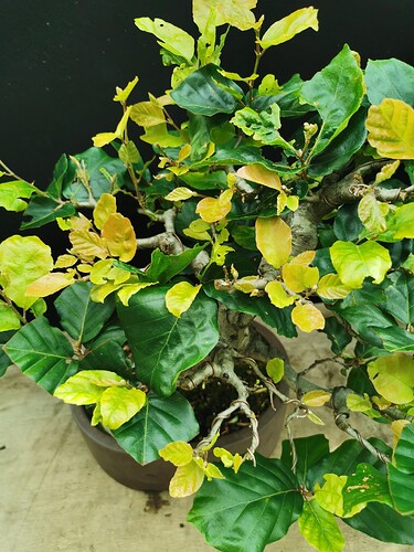 2024-06-04-18-08-25-808