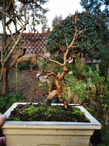 IMG_20230206_152410_resized_20231108_105312323