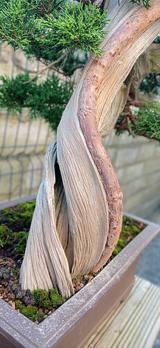 IMG_20240808_195625
