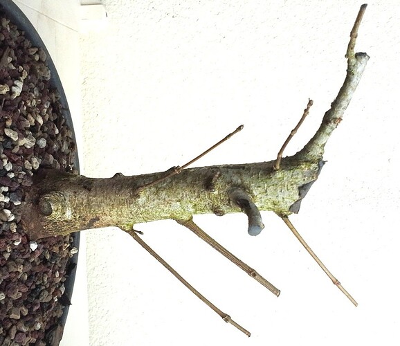20150224_124010