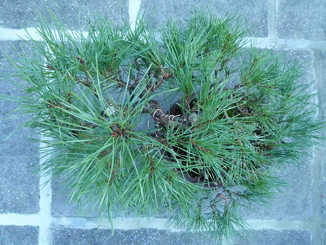 P1180071
