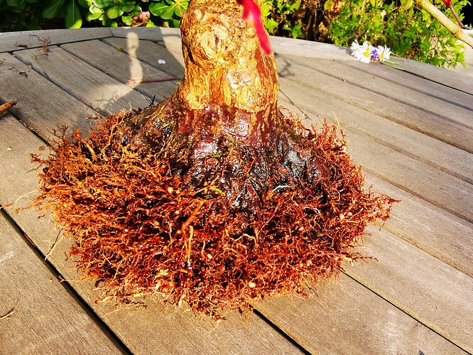 a0b60fc2-7564-45c9-8b4c-283569a6cc81-1_all_16370