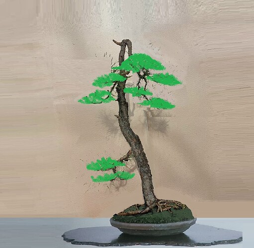 ________DSCN37virt2-2