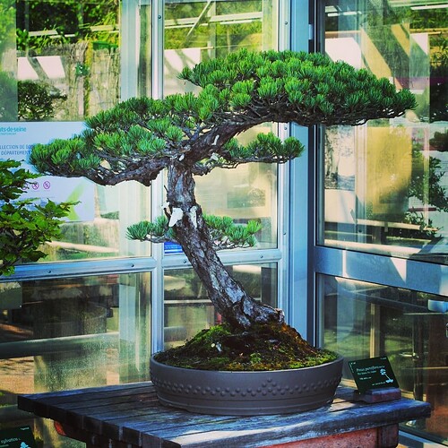 241177888_891802298096760_3643541183874369340_n