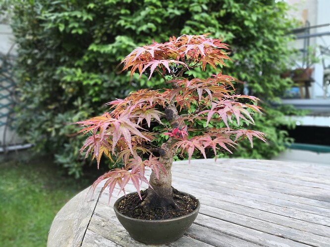 a0b60fc2-7564-45c9-8b4c-283569a6cc81-1_all_5567