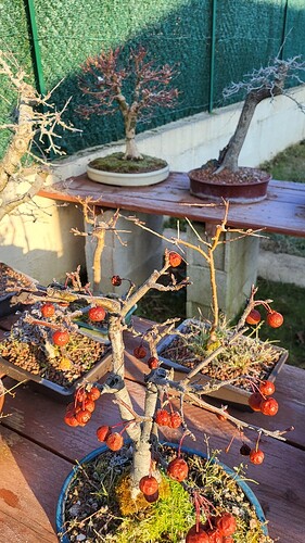 20250118_093719_resized