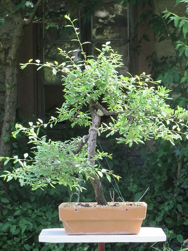 post-41267-0-68371000-1657195429