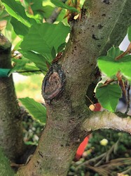 IMG_20240509_113348