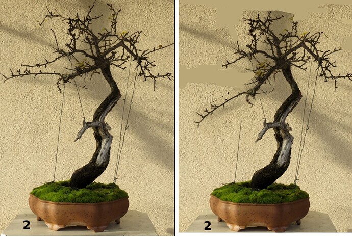 ___________DSCN12virt