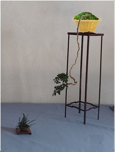 d500b4cd02305743638a6a49c6b97c8df73de1b4