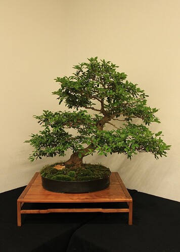 IMG_1167ret-reduite.