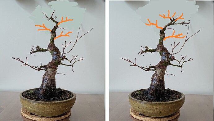 ___________DSCN40virt1