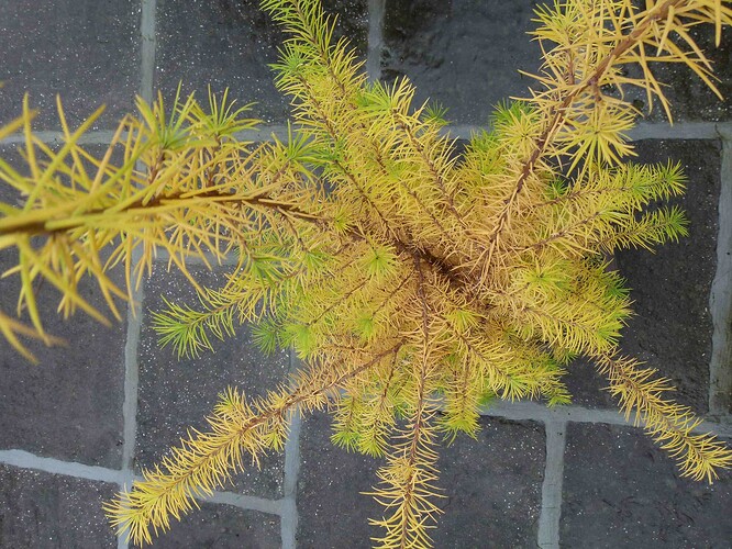 P1180067
