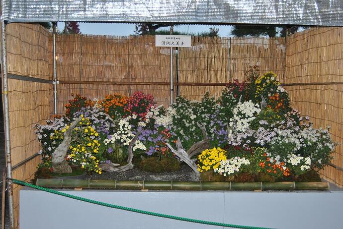 DSC_0384.JPG