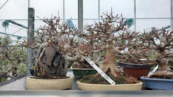 IMG-20240222-WA0027