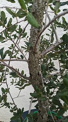 PXL_20231017_123801980