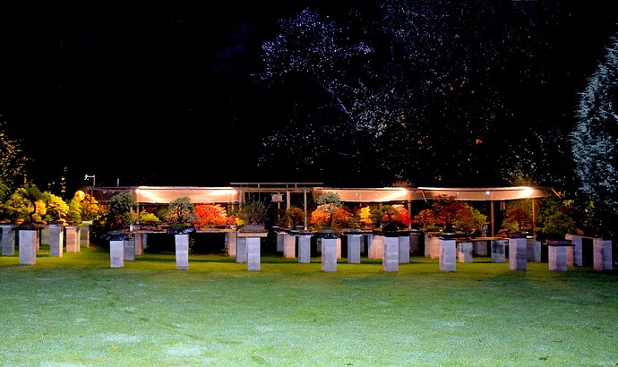 Photo de nuit