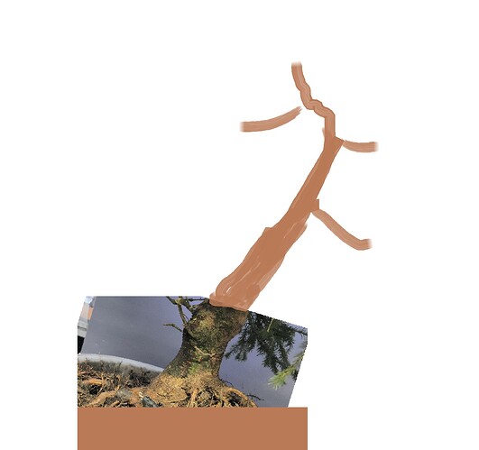 ________DSCN53virt2