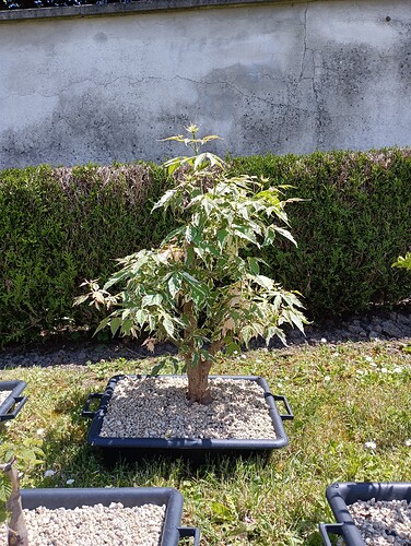 IMG_20240512_134400_183