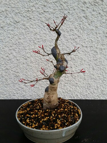 a0b60fc2-7564-45c9-8b4c-283569a6cc81-1_all_51827