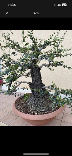 IMG_9549.PNG