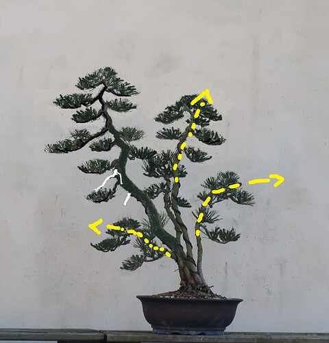 ___________DSCN52virt