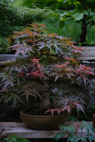 a0b60fc2-7564-45c9-8b4c-283569a6cc81-1_all_30157