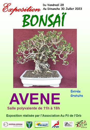 affiche expo bonsai  2023