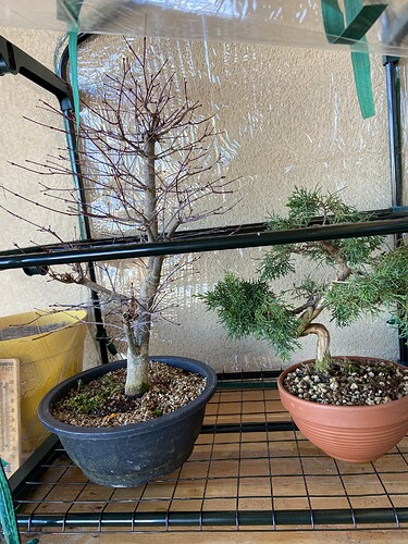 photo_1 (7)
