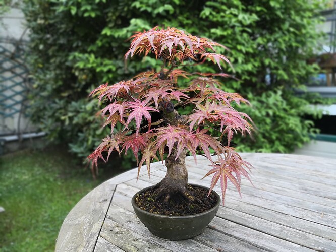 a0b60fc2-7564-45c9-8b4c-283569a6cc81-1_all_44715