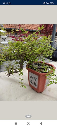 Screenshot_2024-09-08-17-17-20-367_be.tweedehands.m