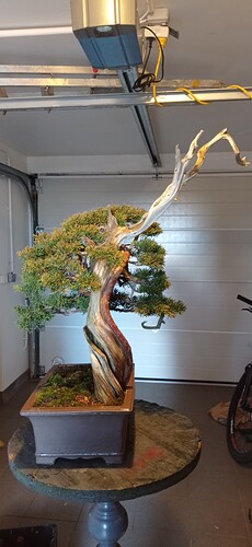 IMG_20241222_110335