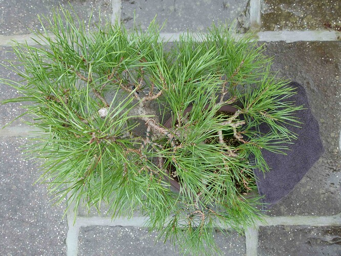 P1180077