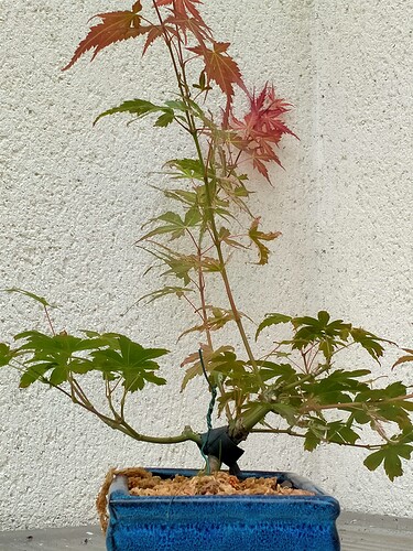 IMG20240818180047